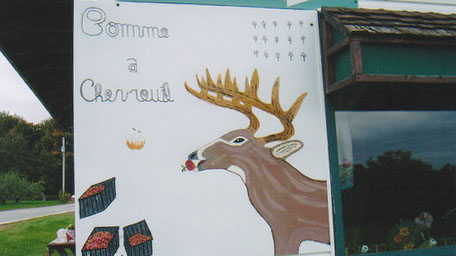 Deer apples