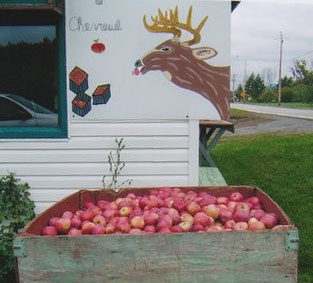 Deer apples