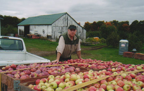 Apple bins and barn