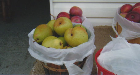 Basket of pears
