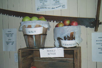 Gala apple baskets