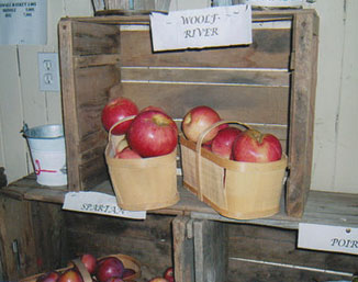 Wolf River apples for sale