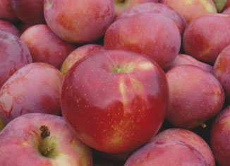 Red apples