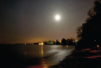 moonrise wellington