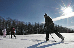 Cross-country skier