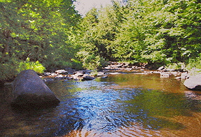 stream ruisseau