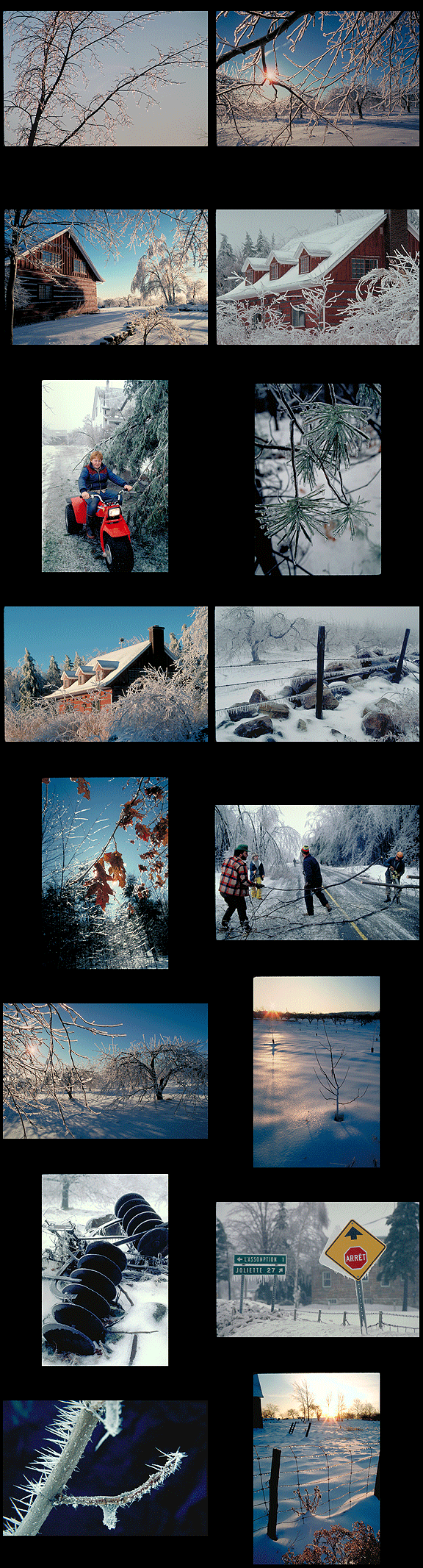 ice storm photos