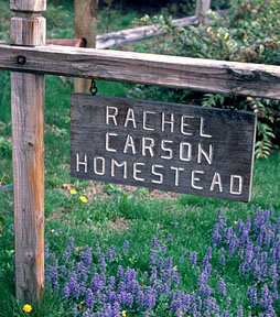 Rachel Carson homestead