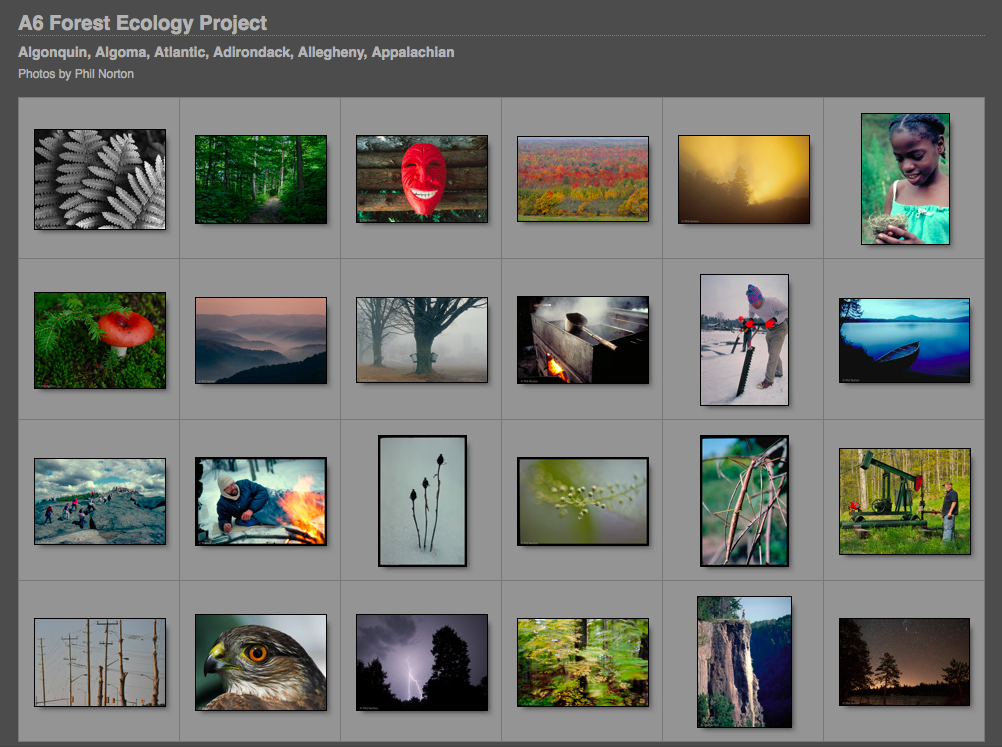 A6 Forest Ecology gallery of photographs forest regions