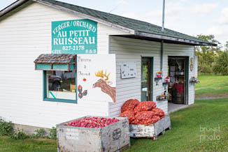 verger kiosque de pomme