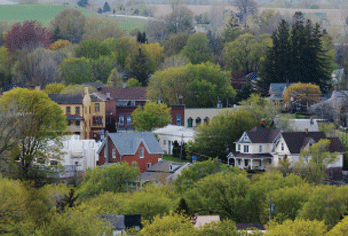 picton view
