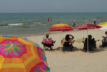 Sandbanks umbrellas