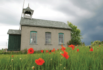 schoolhouse poppies