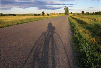 bicycle shadow