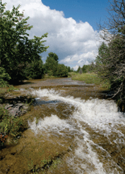 milford falls