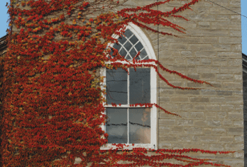 autumn church