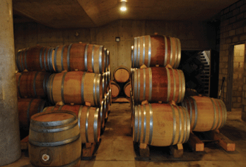wine barrels