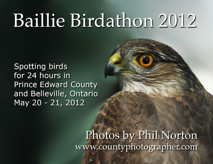 Baillie Birdathon