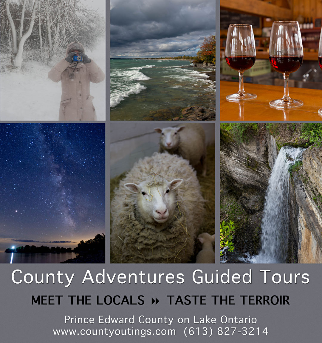 Guided Tours In Prince Edward County