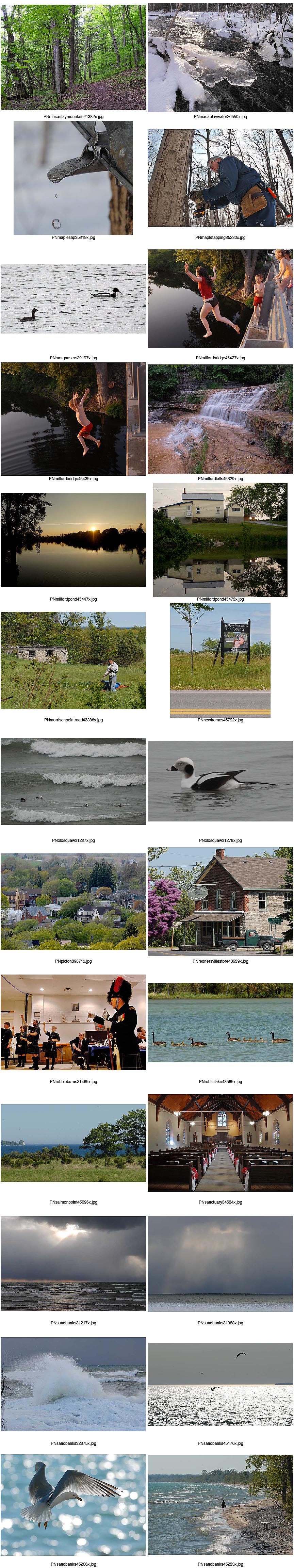 Prince Edward County