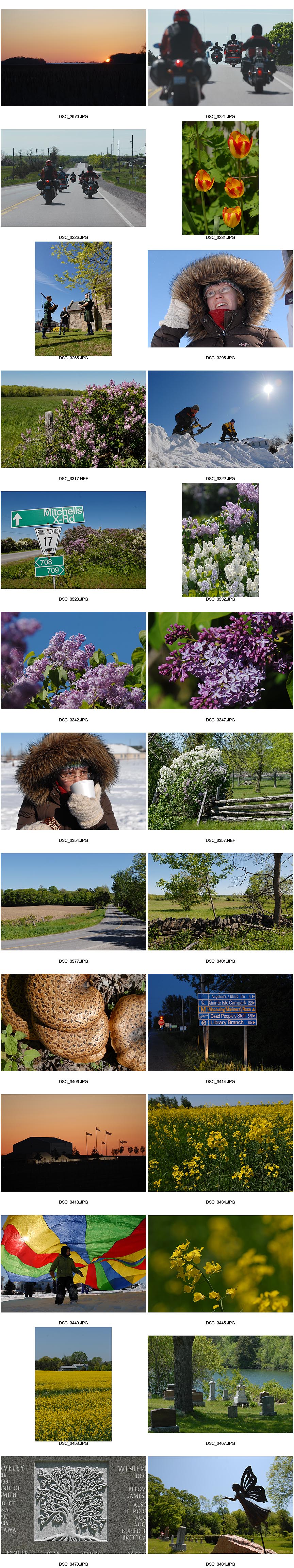Prince Edward County