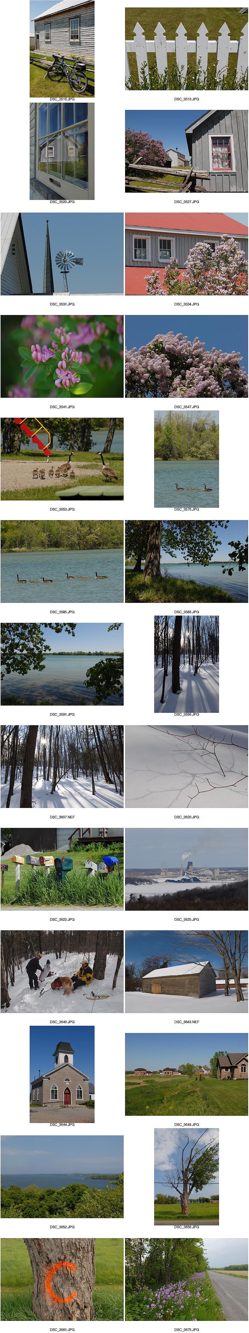 Prince Edward County