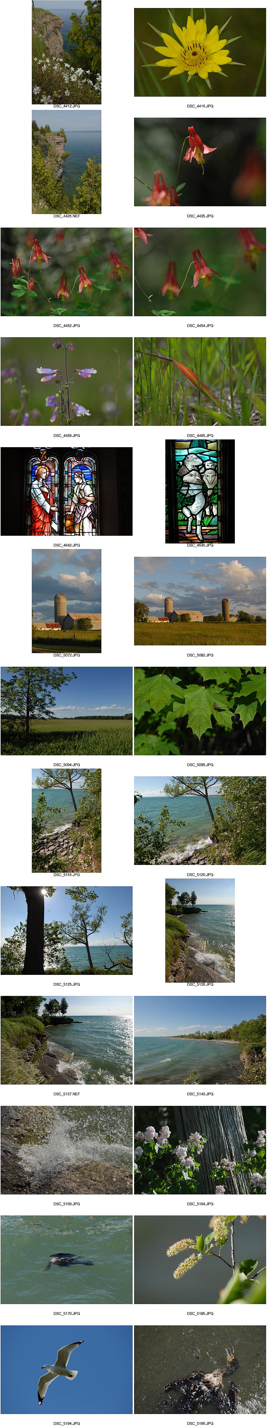 Prince Edward County