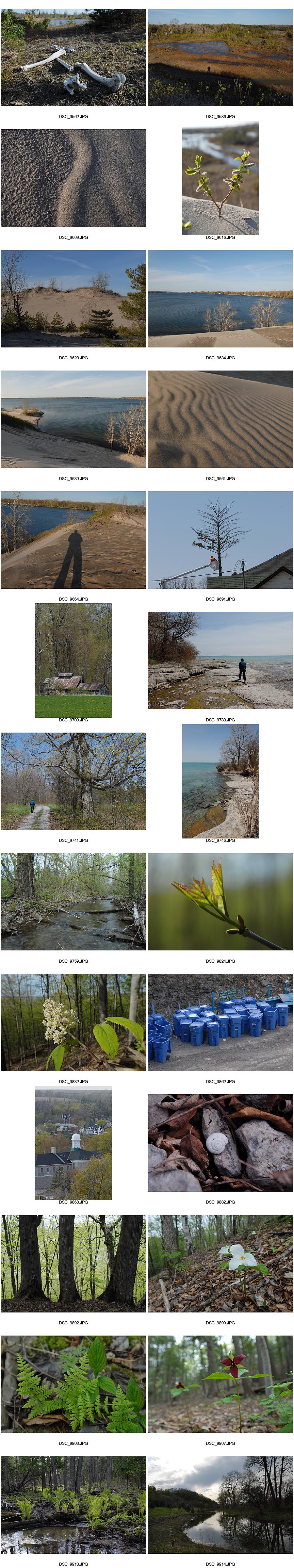 Prince Edward County