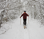 Cross-country skier