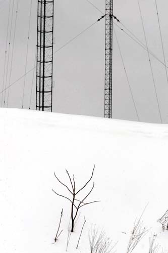 Matte03 copy