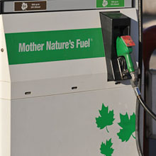 mother nature's fuel gas pump