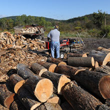 firewood