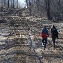 oil well road Allegheny National Forest
