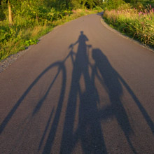 bicycle shadow