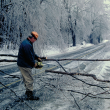 ice storm tree fall Quebec