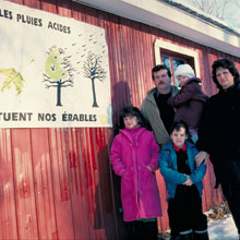 Acid rain killing maples Quebec