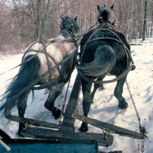 Horse power Vermont
