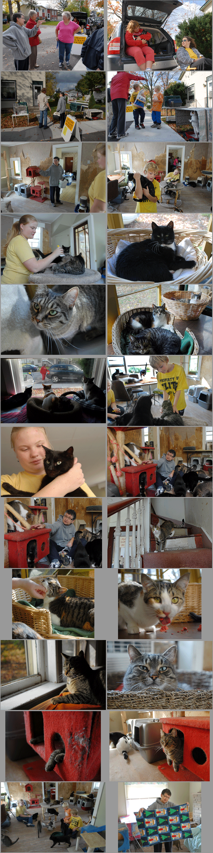 Humane Society