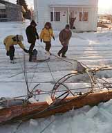 ice storm sled