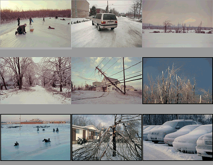 ice storm photos