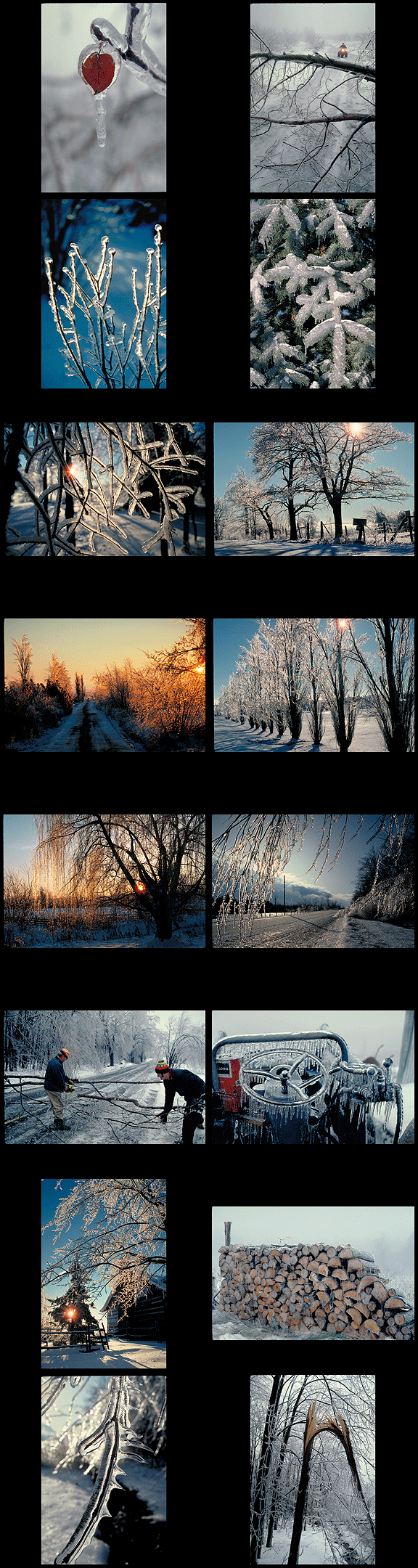 ice storm photos