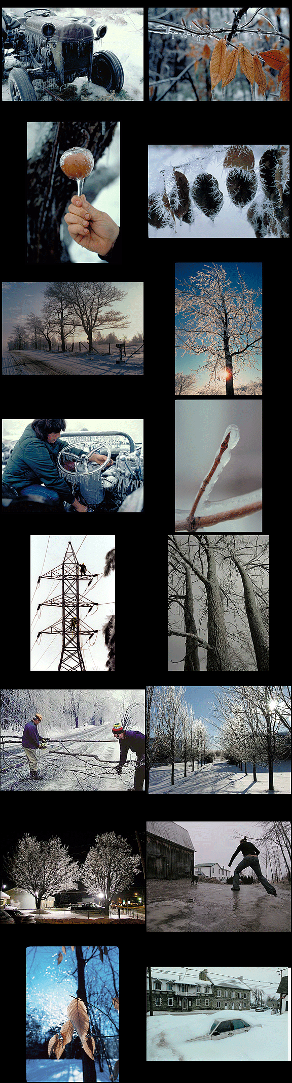 ice storm photos