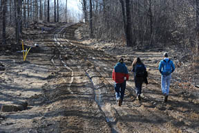 Tree cutting and soil erosion from new roads made for access to oil and gas drilling sites in Allegheny National Forest.