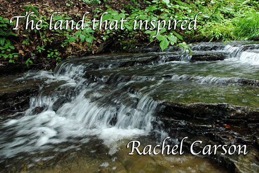 The land that inspired Rachel Carson