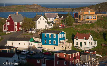 Trinity, Newfoundland houses