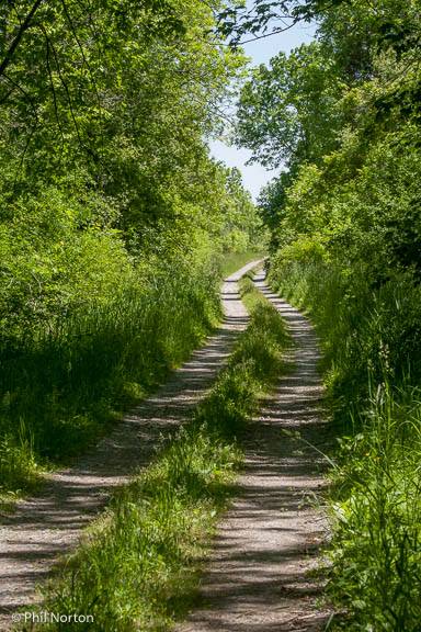 back road in Prince Edward County on the South Shore, Lake Ontario