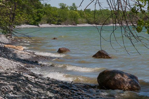 Lake Ontario wild shores, Prince Edward County