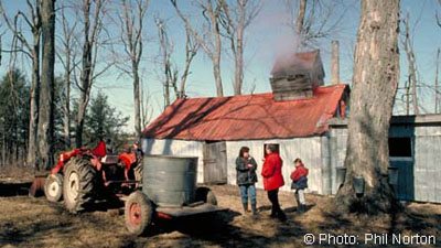 Maple sugar house in Quebec