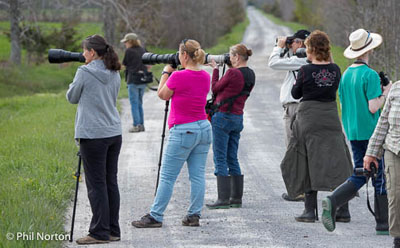 Prince Edward County nature photography