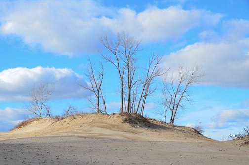 Dunes Beach area